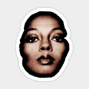 90s Vintage Diana Ross Sticker